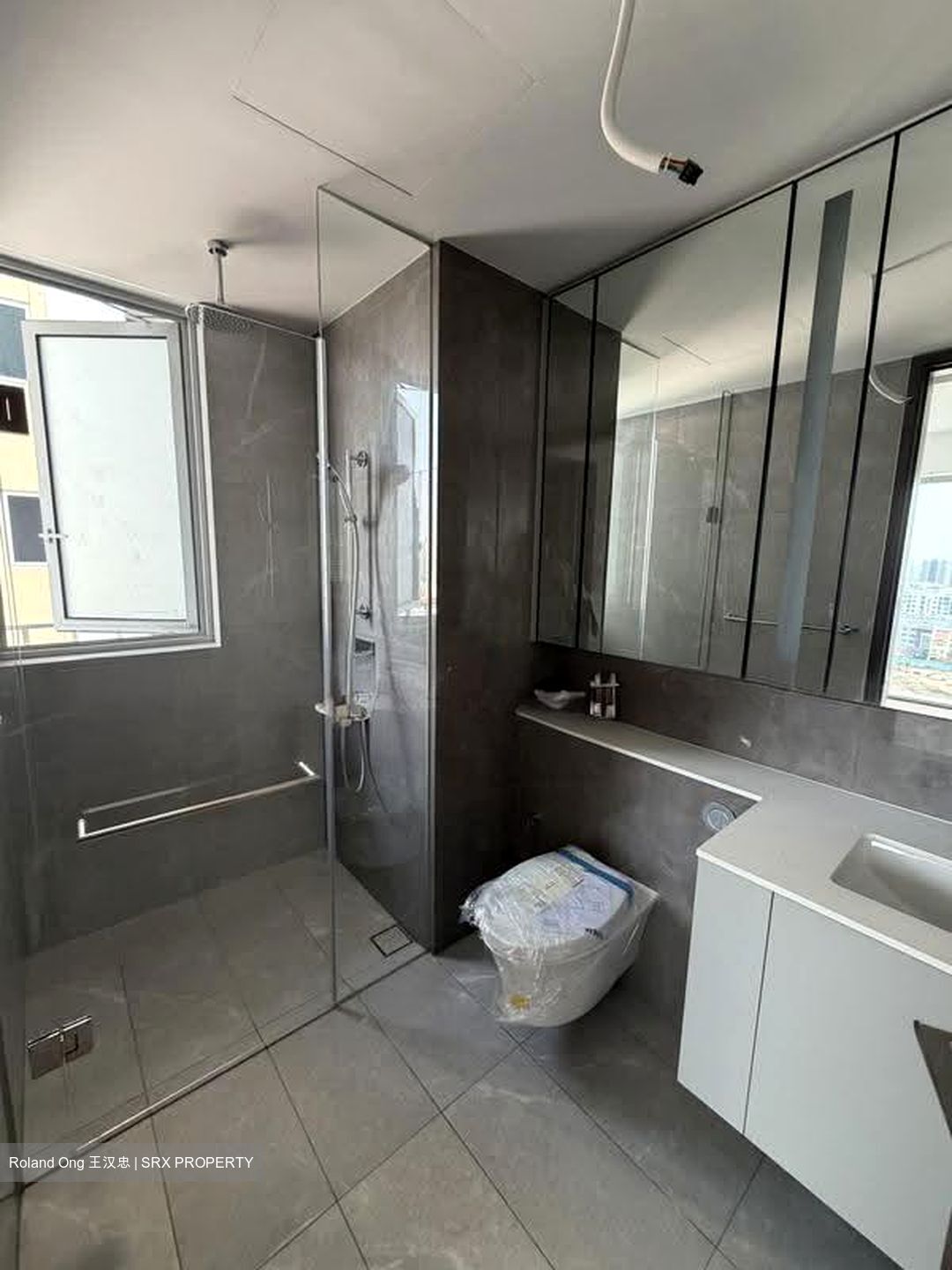 Grand Dunman (D15), Apartment #619412581